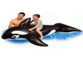 Phao bơi hình chú cá heo